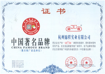 Chinese famous brand