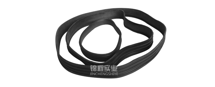 shaft seal ring ( hollow tube seal ring)