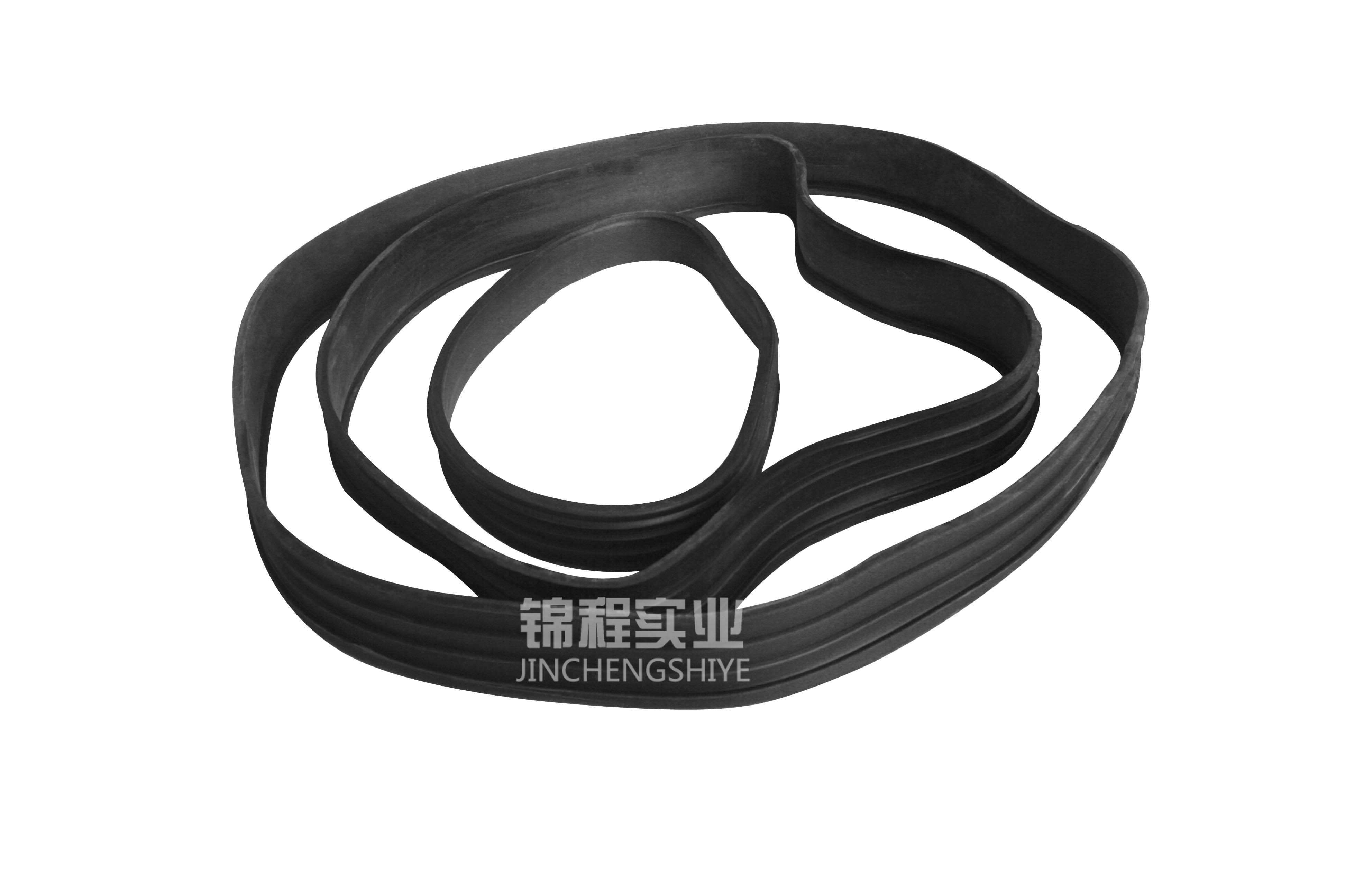 shaft seal ring ( hollow tube seal ring)
